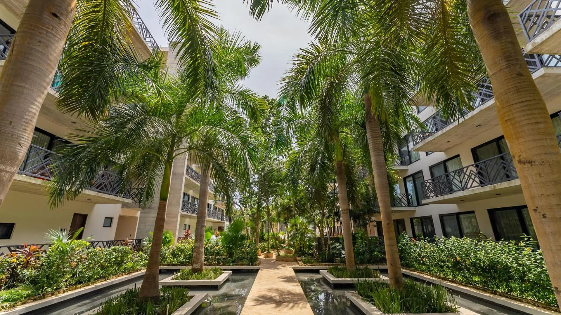 דירות Tulum Stylish 2Br Penthhouse, Private Terrace, Grill And Pool